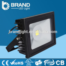 Projecteur LED haute performance IP67 30W, éclairage torréfiant LED 30 W, CE Approbation RoHS